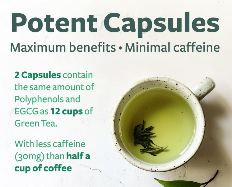 green tea extract make you nauseous_2 green tea extract make you nauseous_2