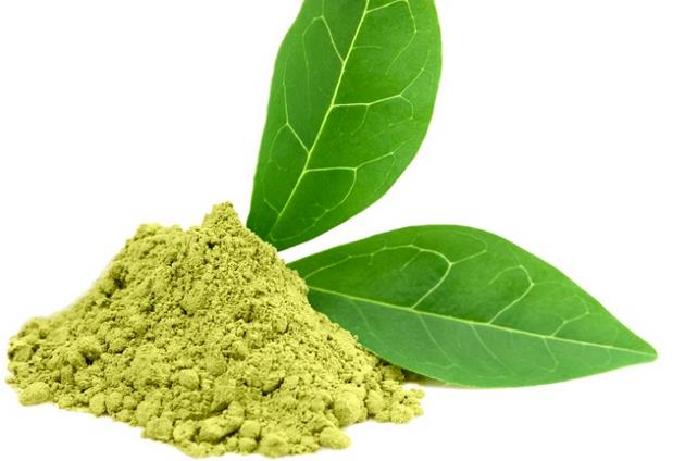 green tea extract powder