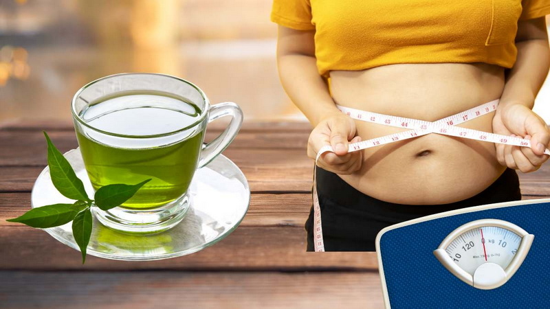 Green Tea Extract Fat Loss_1