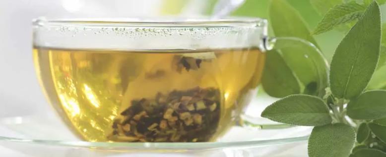 How To Use Green Tea Extract For Genital Warts-_2 How To Use Green Tea Extract For Genital Warts-_2