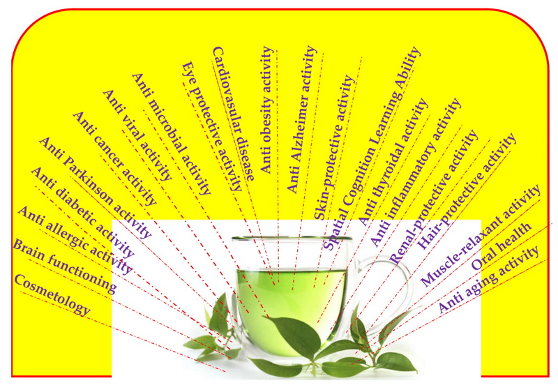 does green tea extract have caffine