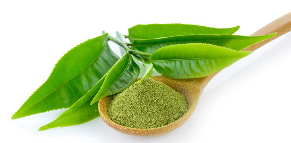 Green Tea Extract373 Green Tea Extract373