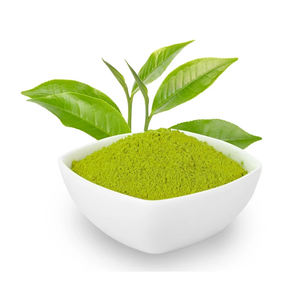 Green Tea Extract283 Green Tea Extract283