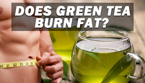 does-green-tea-burn-fat does-green-tea-burn-fat