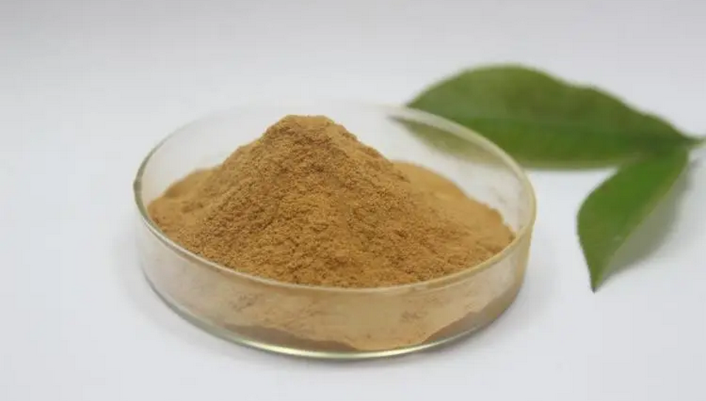 How Much Green Tea Extract for Weight Loss?