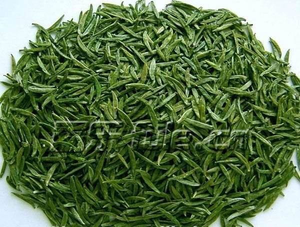Green Tea Extract4