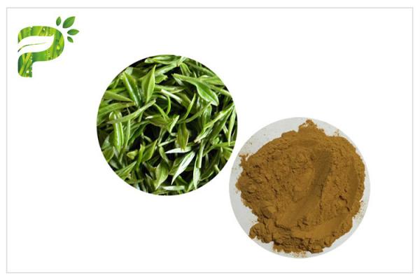 Green Tea Extract365