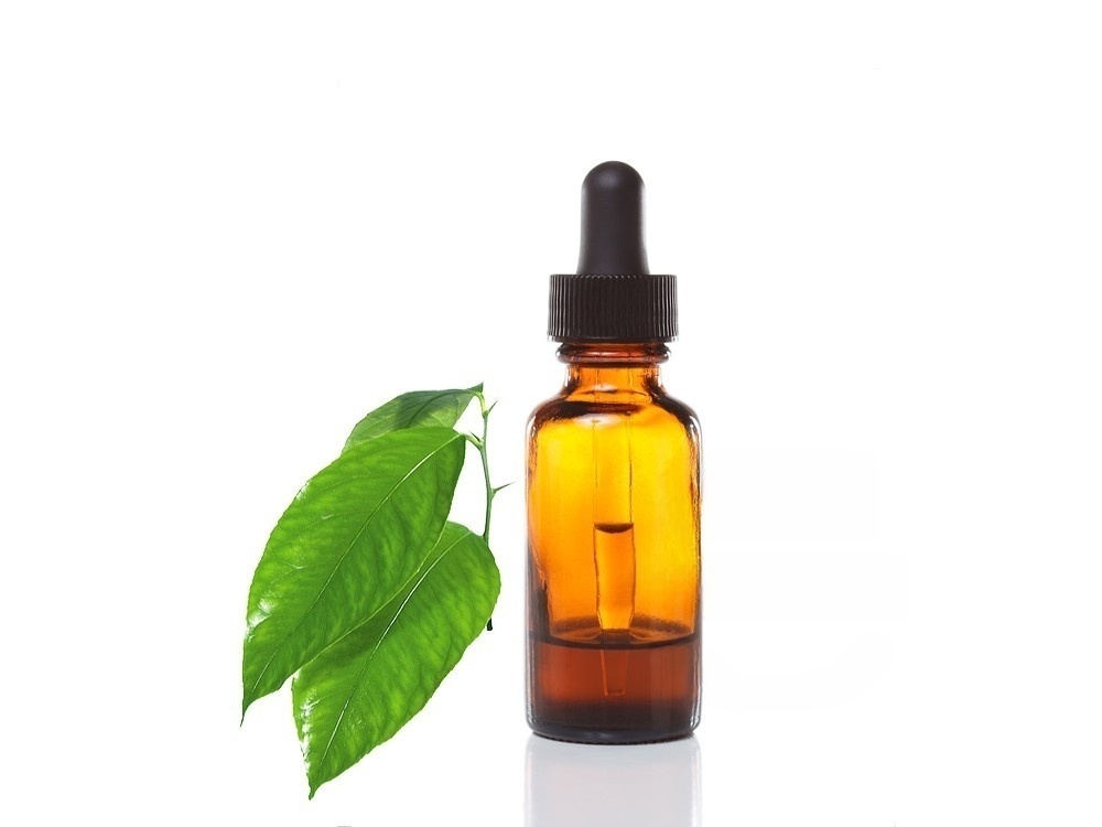Green Tea Extract2
