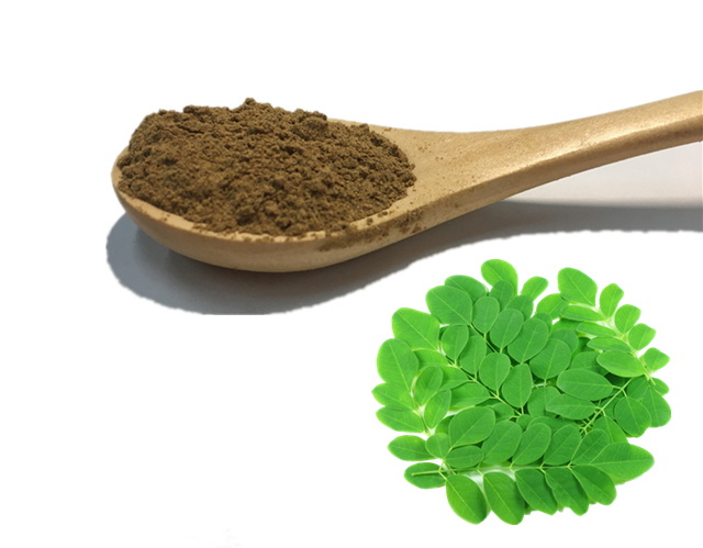 Green Tea Extract260 Green Tea Extract260