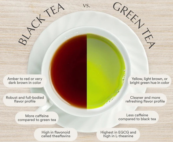 What Is Better Green Tea Or Green Tea Extract What Is Better Green Tea Or Green Tea Extract