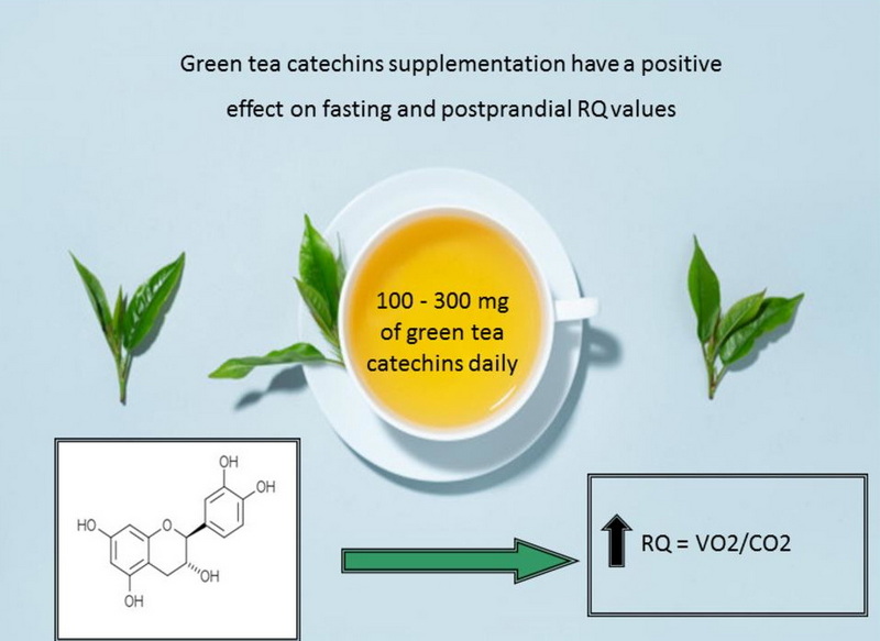 Is Green Tea Extract The Same As Green Tea Catechins?