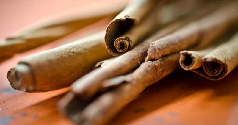 Is Gaia Cinnamon Bark Extract Effective for Blood Sugar Control Is Gaia Cinnamon Bark Extract Effective for Blood Sugar Control