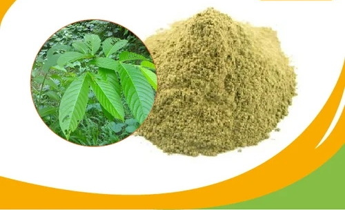 What Are The Key Ingredients in Banaba Leaf Extract Powder What Are The Key Ingredients in Banaba Leaf Extract Powder