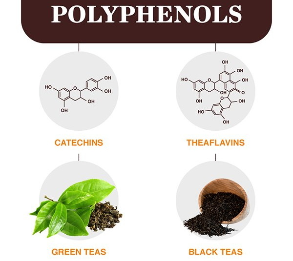 What Contains Green Tea Extract What Contains Green Tea Extract