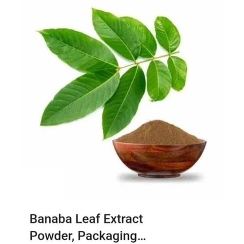 How Does Banaba Leaf Extract Support Heart Health How Does Banaba Leaf Extract Support Heart Health