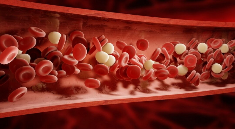 Will Green Tea Extract Interfear with My Blood Thinner