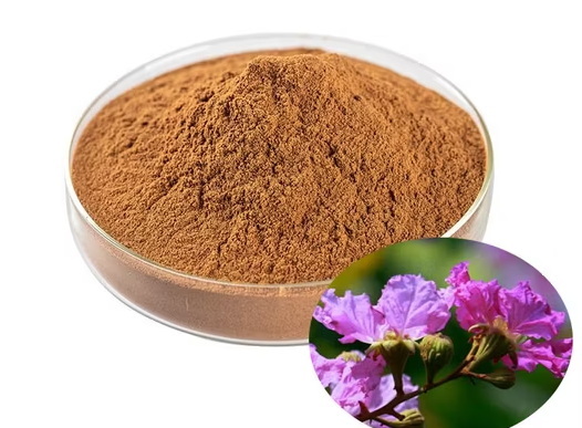 What Are The Common Uses of Banaba Leaf Extract What Are The Common Uses of Banaba Leaf Extract