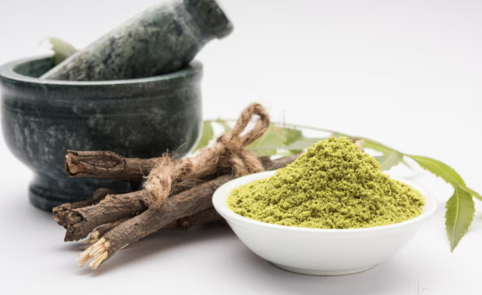 What Are The Key Factors To Consider When Selecting A Tongkat Ali Extract Wholesaler What Are The Key Factors To Consider When Selecting A Tongkat Ali Extract Wholesaler
