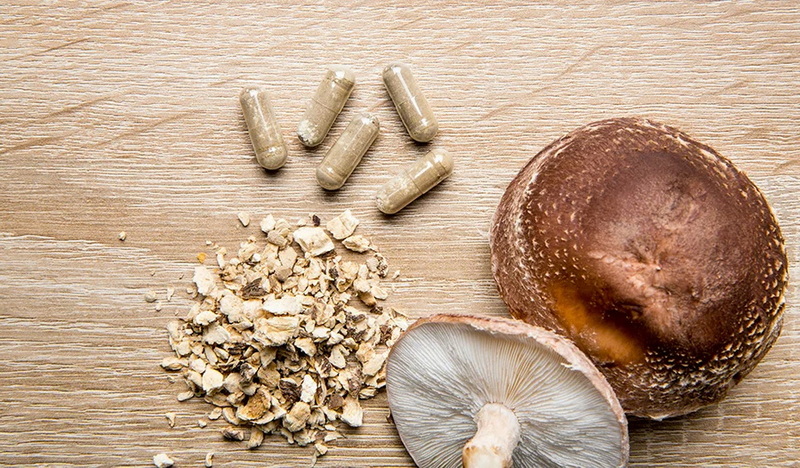 Mushroom Extract Manufacturer