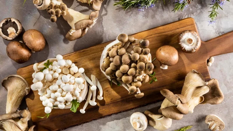 Top Mushroom Extracts Manufacturers in Portugal
