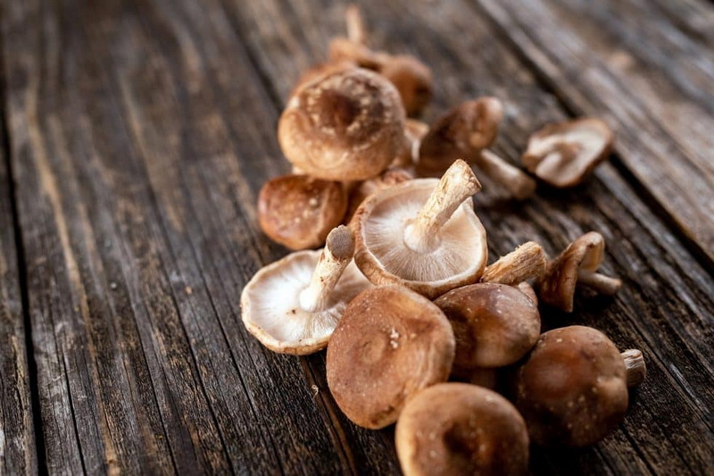 Top Mushroom Extracts Manufacturers in Spain Top Mushroom Extracts Manufacturers in Spain