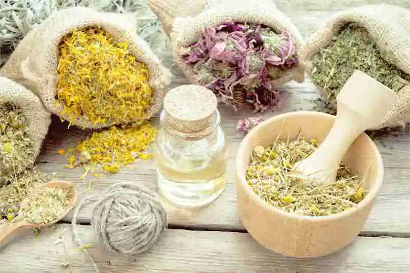 Natural Extract Manufacturers Natural Extract Manufacturers