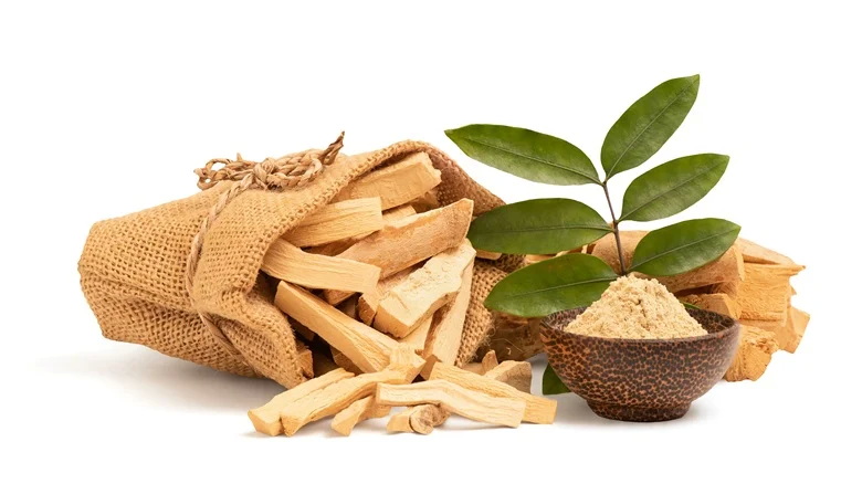 Tongkat Ali Extracts Tongkat Ali Extracts