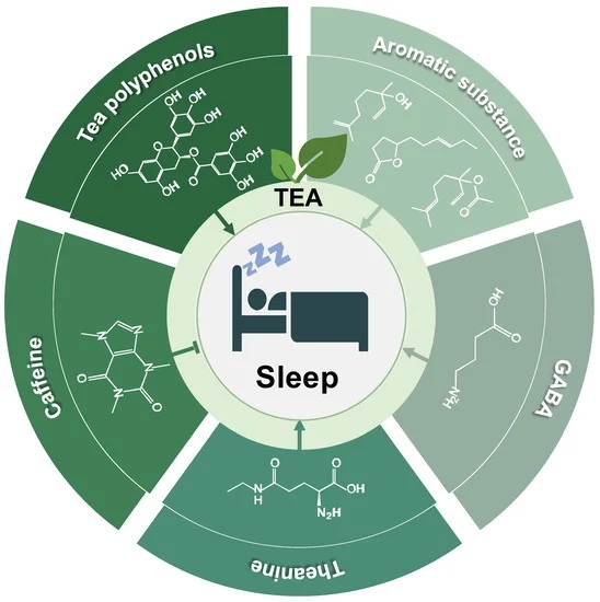 Can Green Teas Extract Disrupt Sleep?