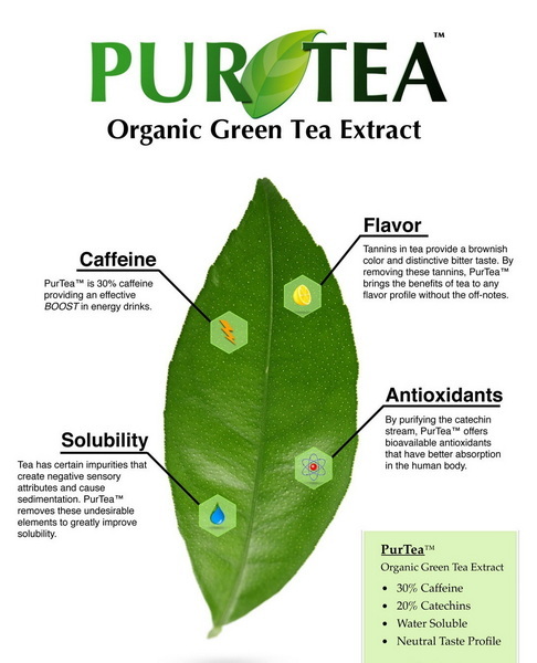 Make Your Own Green Tea Extract_3 Make Your Own Green Tea Extract_3