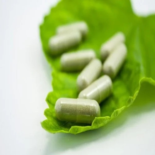 How Many Green Tea Extract Pills Per Day_4 How Many Green Tea Extract Pills Per Day_4