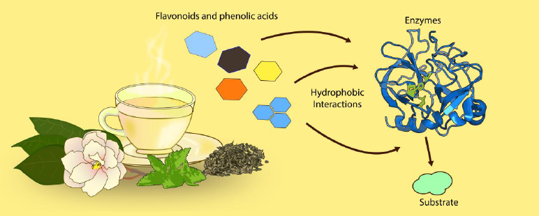 can green tea extract cause blood clots_2 can green tea extract cause blood clots_2