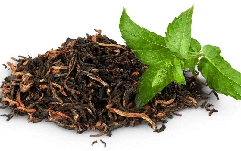 Is Green Tea Extract Caffeine Free Is Green Tea Extract Caffeine Free