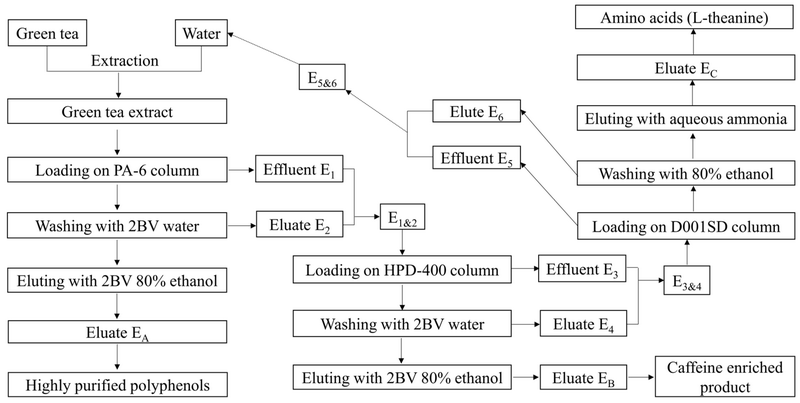 How To Extract L Theanine From Green Tea_3