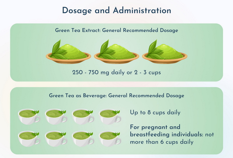 Green Tea Extract Increases Metabolism Green Tea Extract Increases Metabolism