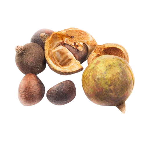 Tea Seed Extract image
