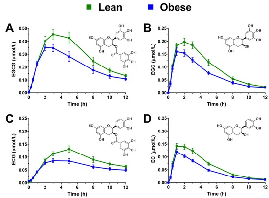 Green Tea Extract1111
