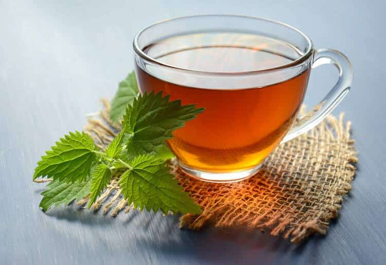 Green Tea Extract