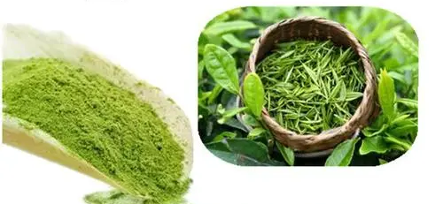 Green Tea Extract2 Green Tea Extract2