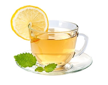 Green Tea Extract241