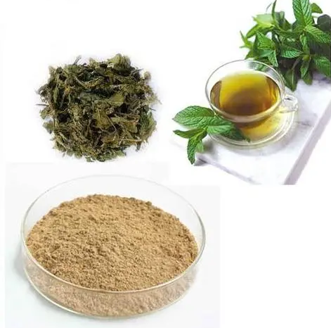 Green Tea Extract 1 Green Tea Extract 1
