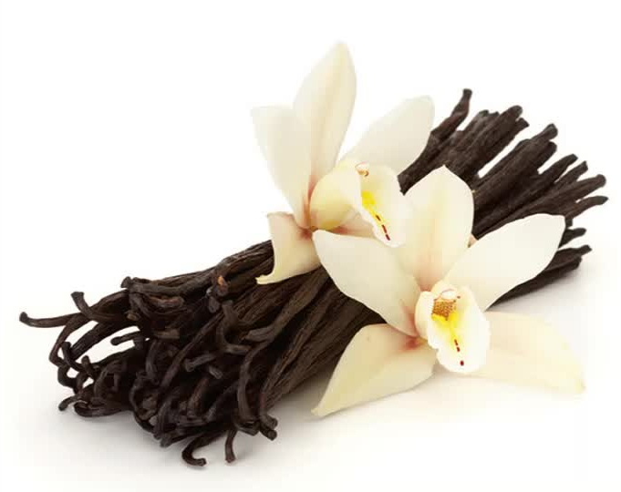 Vanilla Extract270 Vanilla Extract270