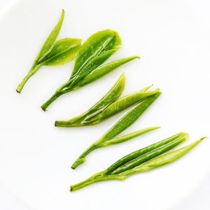 Green Tea Extract259