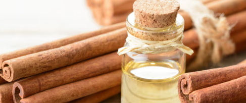 Can Cinnamon Bark Extract Help Manage Stress Better Than Ashwagandha Can Cinnamon Bark Extract Help Manage Stress Better Than Ashwagandha