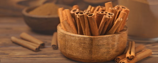 What Are The Top Uses of Cinnamon Bark Extract in Modern Medicine What Are The Top Uses of Cinnamon Bark Extract in Modern Medicine