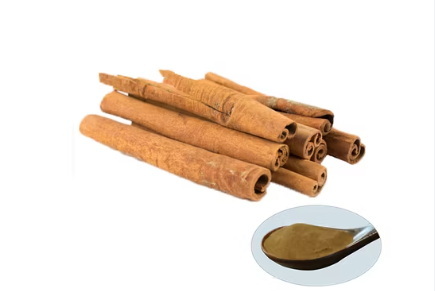 What Are the Anti-inflammatory Properties of Cinnamon Bark Liquid Herbal Extract What Are the Anti-inflammatory Properties of Cinnamon Bark Liquid Herbal Extract