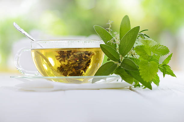 Top Green Tea Extracts Manufacturers and Suppliers in Edmonton