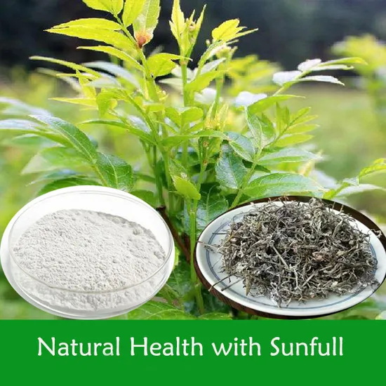 Is China Vine Tea Extract Good for Liver Detox Is China Vine Tea Extract Good for Liver Detox