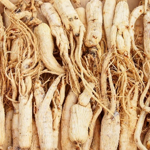 Ginseng Root Extract Ginseng Root Extract