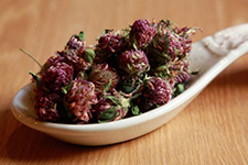 Red Clover Extract Isoflavones