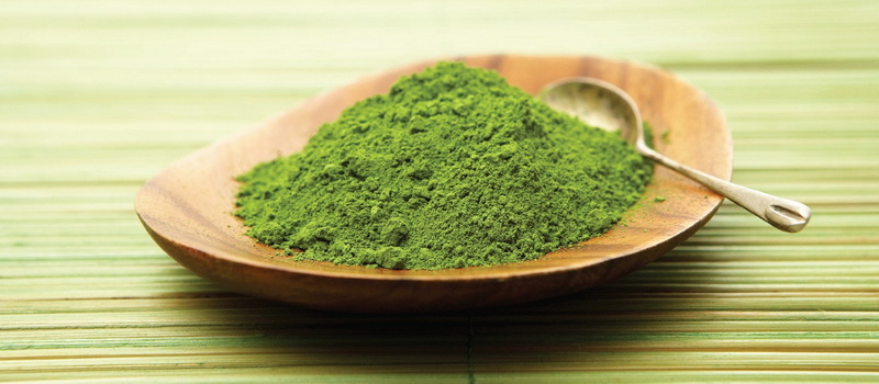 How Healthy Is Green Tea Extract_2 How Healthy Is Green Tea Extract_2